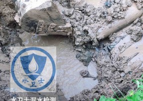 涿鹿水管漏水检测公司5